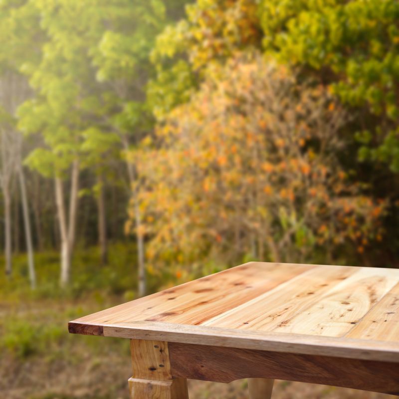 Wood Table Repair detail